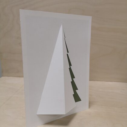 1. VIETA Linards Straume 7.c