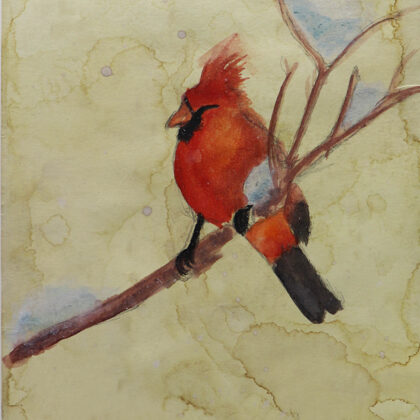 2. VIETA Maija Salzirne 6.b