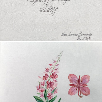 "Jelgavas pļavu augu katalogs"
darba autore - Anna Jasmīna Beinaroviča
darba vadītāja - Il